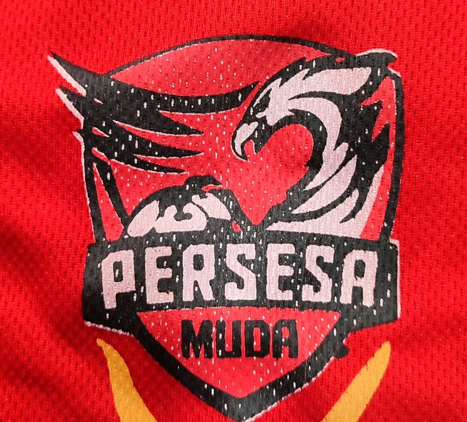 Logo PERSESA MUDA